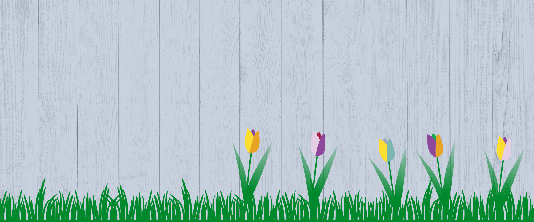 Spring Course Sale Umbraco (1800 X 750 Px) (2)