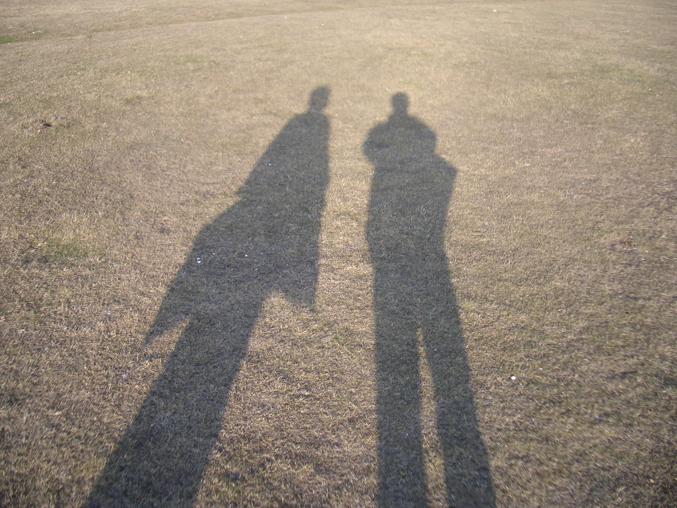shadow