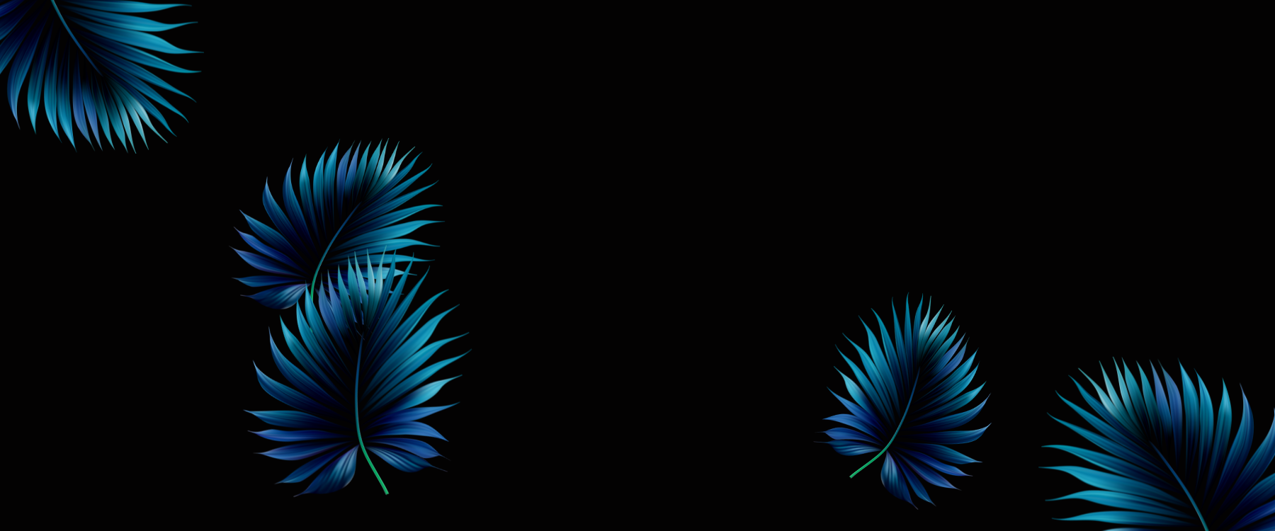 Leaves Only NABIP Future Forward Miami 1800X750